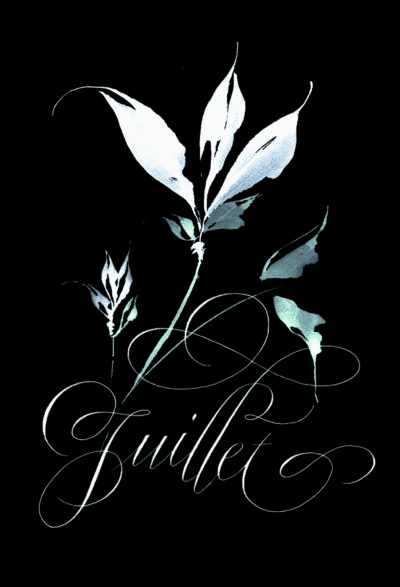 Juillet written in Copperplate calligraphy with floral decoration white on black by Pat Blair